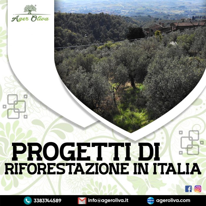 Progetti Di Riforestazione In Italia