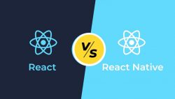React JS or React Native: Which one is better?