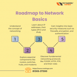 Roadmap to Network Basics