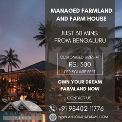 Sanjeevani Farm –farm land for sale in hosur:Escape the City Bustle