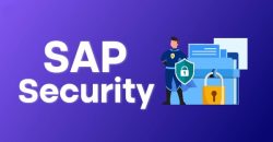 What Is SAP Security?