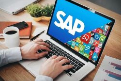 Reasons To Use SAP