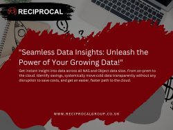 Seamless Data Insights: Unleash the Power of your Growing Data!