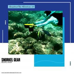 Snorkel Gear Rental Kauai