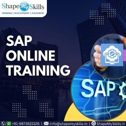 Shape Your Future in Best SAP Training Institute at ShapeMySkills
