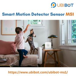 Safeguard: Smart Motion Sensor – MS1