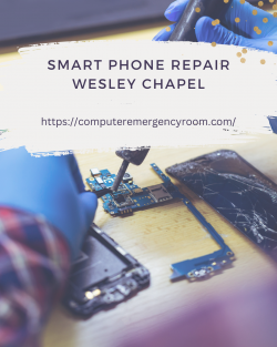 Explore Reliable And Professional Smart Phone Repair Wesley Chapel