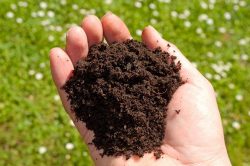 Professional Soil Remediation Services for Environmental Sustainability