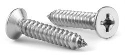Stainless Steel 310H Screw Exporters In India
