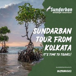 Cruising through the Mangrove Forests Sundarban Tour from Kolkata