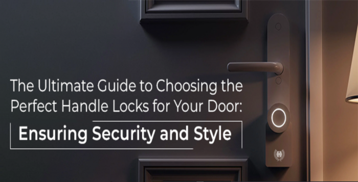 The Ultimate Guide to Choosing the Perfect Handle Locks for Your Door