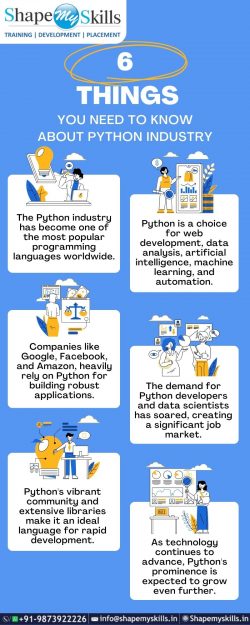 6 Things You Need To Know About Python Industry