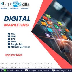 Top Digital Marketing Online Training Institute at ShapeMySkills