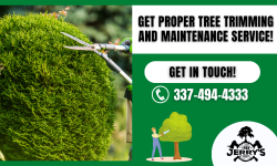 Upgrade Your Space with Tree Trimming Services!