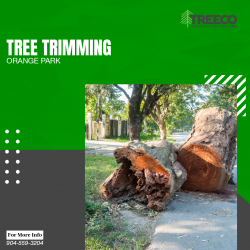 TREE TRIMMING ORANGE PARK