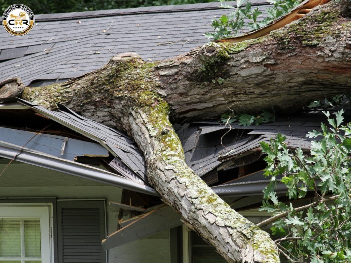 Weathering the Storm: Expert Roof Repair for Damage