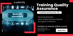 Shaping the Future of Software Quality: Training Quality Assurance at Codemify