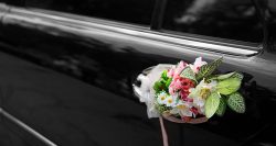 Wedding Cars Melbourne: Top 5 Wedding Car Trends of 2023
