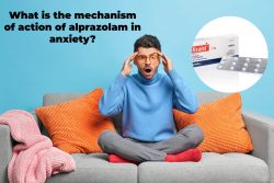 What is the mechanism of action of alprazolam in anxiety?