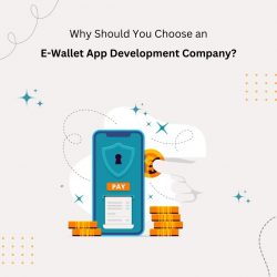 Why Should You Choose an E-Wallet App Development Company?