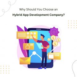 Why Should You Choose an Hybrid App Development company?