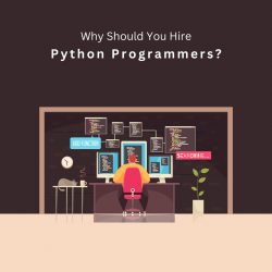 Why Should You Hire Python Programmers?