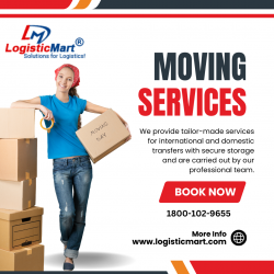 How to choose experienced packers and movers in Hinjewadi, Pune?