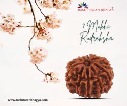 Get 10% off 9 Mukhi Rudraksha Online from Rashi Ratan Bhagya