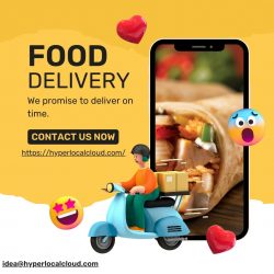 How To Start An Online Food Delivery Business?
