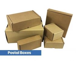 Buy Large Postal Boxes Online | Packaging Now