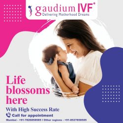 Best IVF Treatment Cost in Mumbai – Gaudium IVF