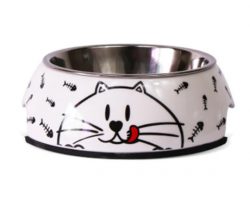 Pet Double Bowl Automatic Feeder by rswank