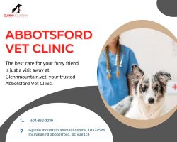 Best Abbotsford Vet Clinic working with a mission of passionate vet care