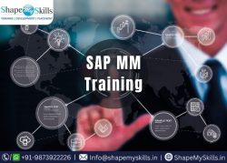 Advance your Career with SAP MM Training in Delhi at ShapeMySkills