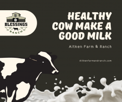 Aitken Farm & Ranch’s Raw Milk Delights!