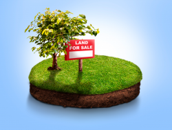 Agricultural Land for Sale in Bangalore – Invest in Your Agricultural Dream