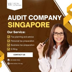 WZWU & Partners: Your Trusted Audit Company in Singapore
