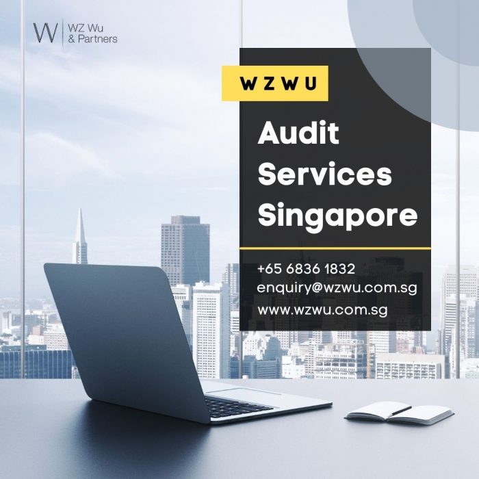 Unlock Success with Top Audit Services in Singapore