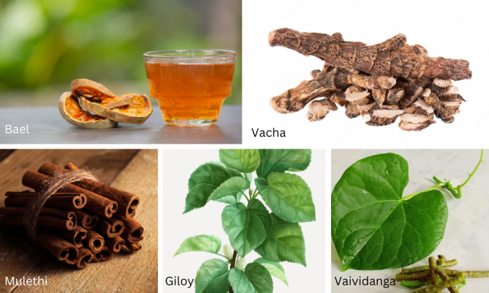 Ayurveda For Ulcerative Colitis: Effective Natural Remedies To Treat This Inflammatory Disease