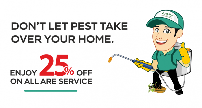 Your Trusted Choice for the Best Pest Control Services in Mumbai – Ankita Pest Control