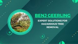 Benj Geerling – Expert Solutions for Hazardous Tree Removal