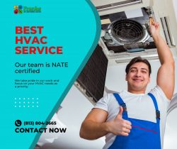 AC Tune-up in Wesley Chapel