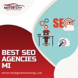 An Effective Business Strategy of the Best SEO Agencies mi: Specialized Niche Targeting