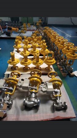 Pneumatic globe control valve manufacturer in Germany