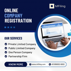MFiling company registration