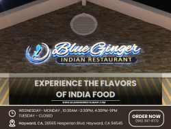 Experience the Fusion of Indian and Chinese Flavors at Blue Ginger Indian Restaurant