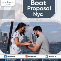 Boat proposal NYC