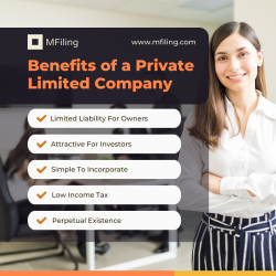 Private Limited Company benefits by MFiling.com