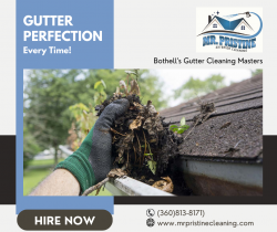 Bothell’s Gutter Cleaning Masters