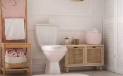 Buy Stylish And High-Quality Toilet Seats In Australia